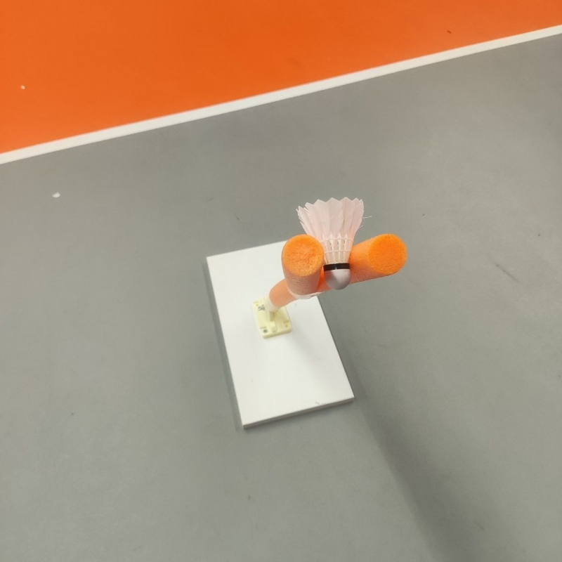 Children Badminton Pick Serve  - Sports Equipment Badminton recension och pris