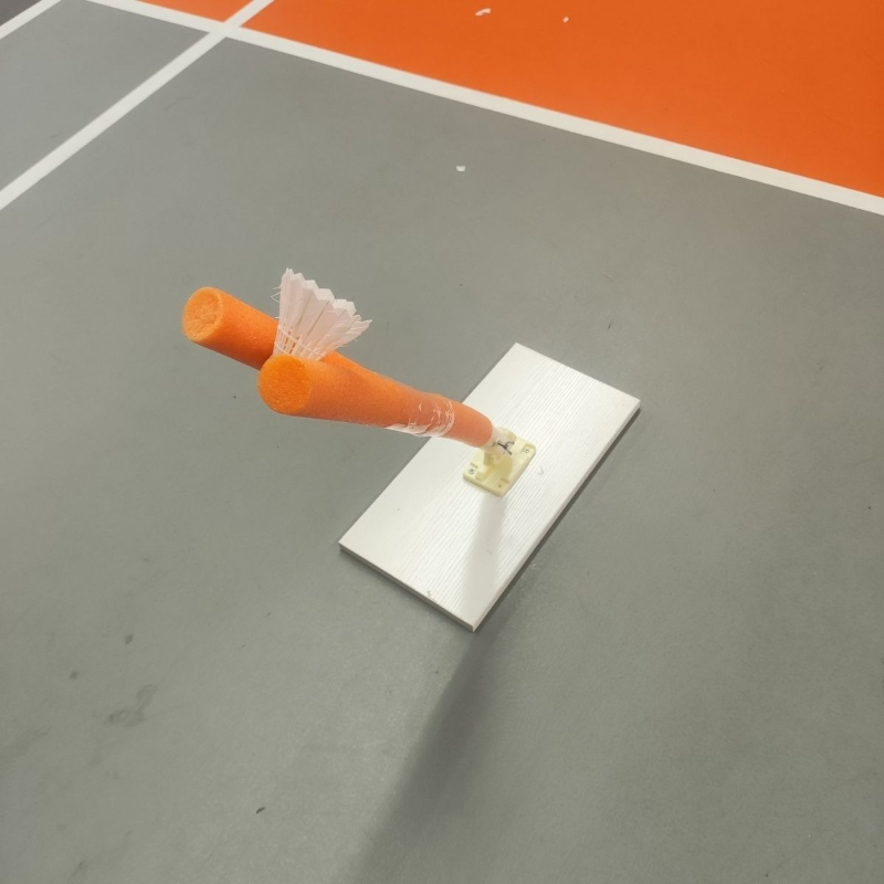Children Badminton Pick Serve  - Sports Equipment Badminton recension och pris