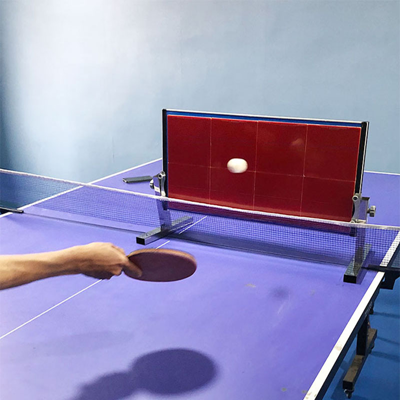 Home Table Tennis Rebound Boar - Ping Pong Ball Set recension och pris